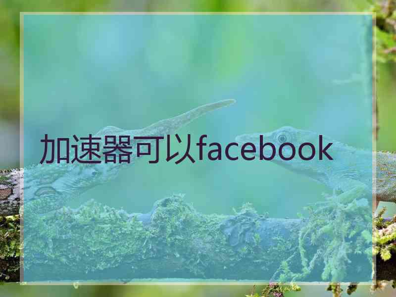 加速器可以facebook