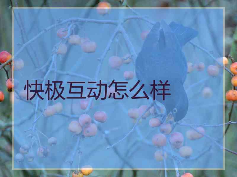 快极互动怎么样
