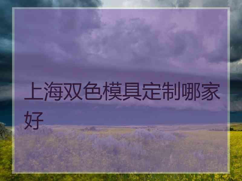 上海双色模具定制哪家好