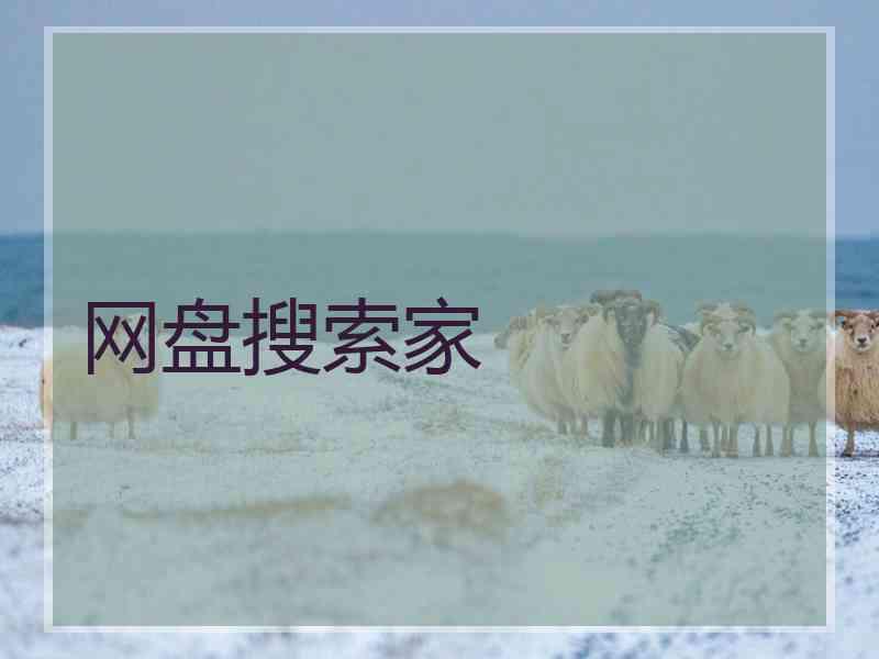 网盘搜索家