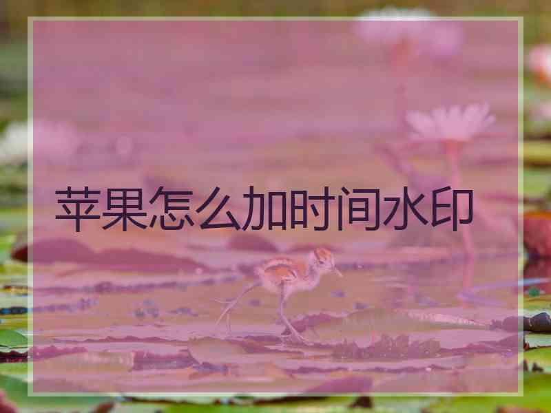 苹果怎么加时间水印