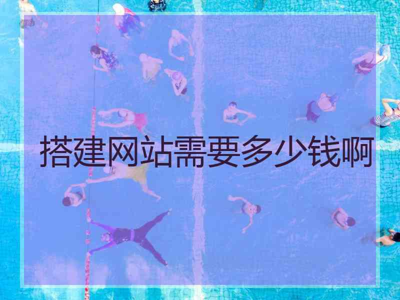搭建网站需要多少钱啊