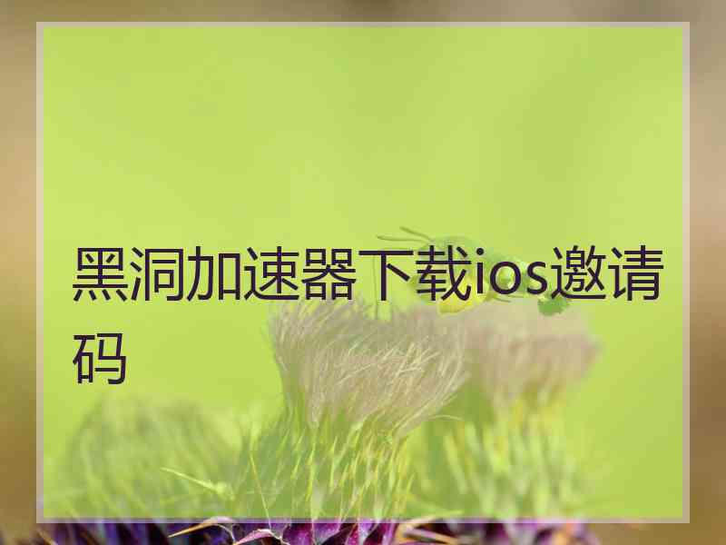 黑洞加速器下载ios邀请码