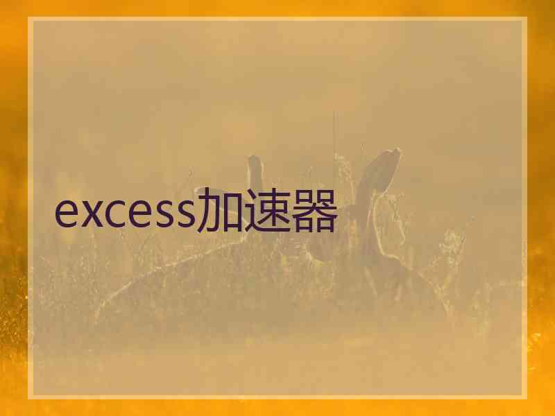 excess加速器