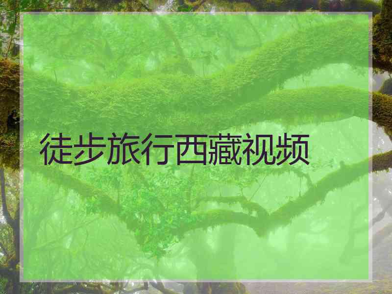 徒步旅行西藏视频