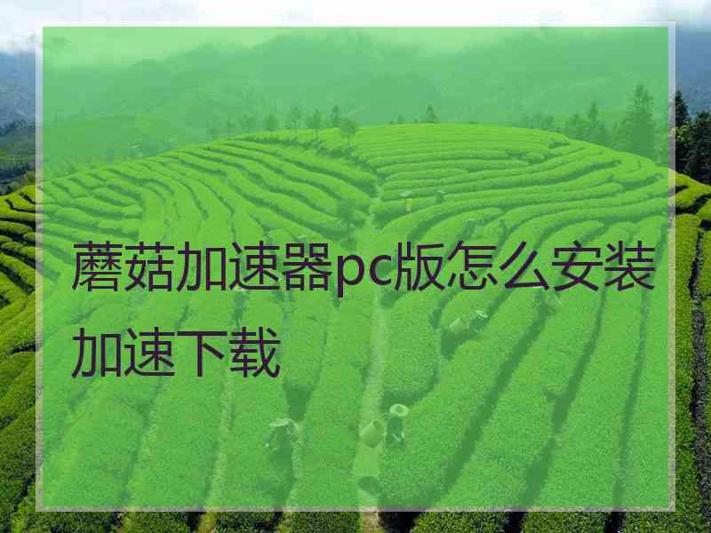 蘑菇加速器pc版怎么安装加速下载