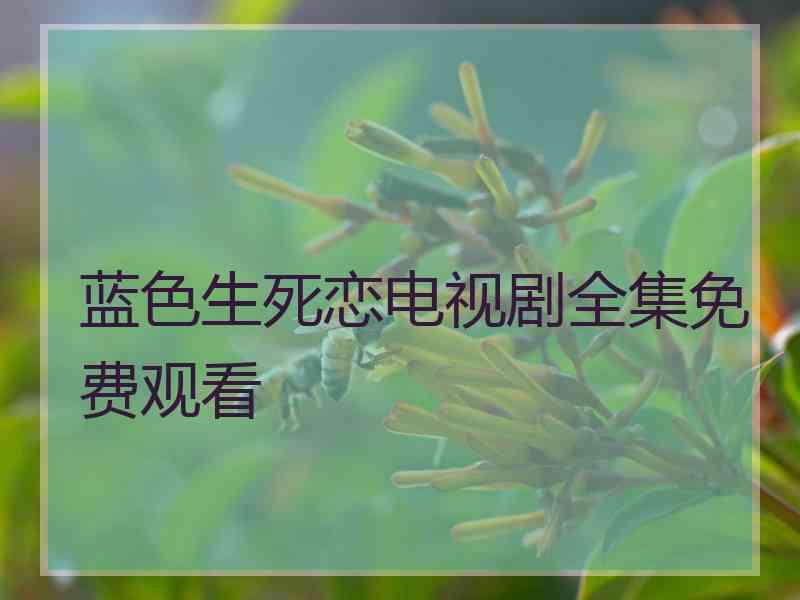 蓝色生死恋电视剧全集免费观看