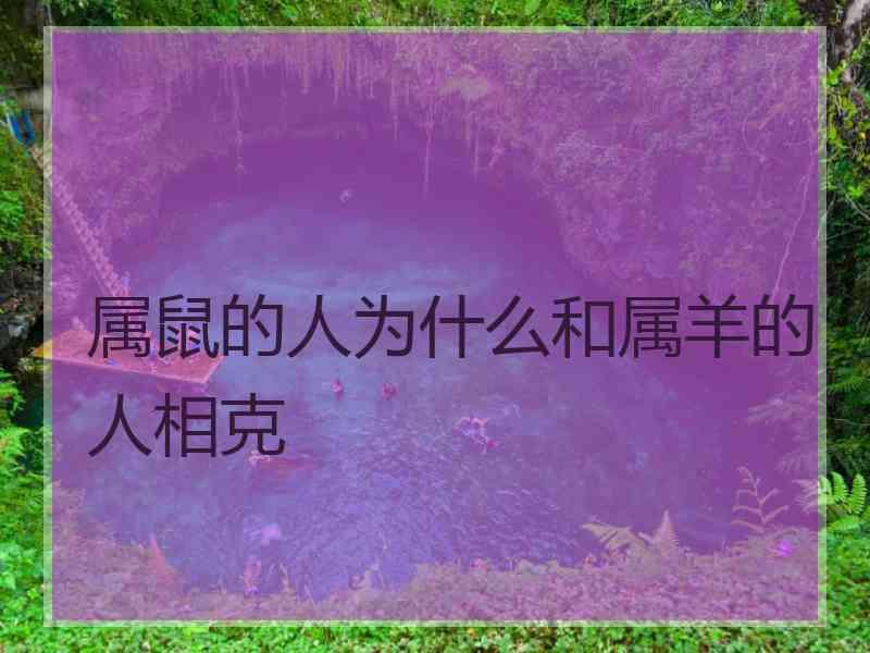 属鼠的人为什么和属羊的人相克