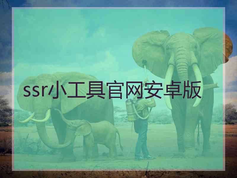 ssr小工具官网安卓版