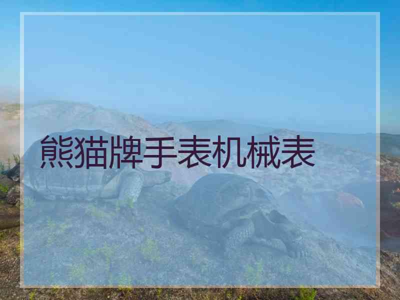 熊猫牌手表机械表