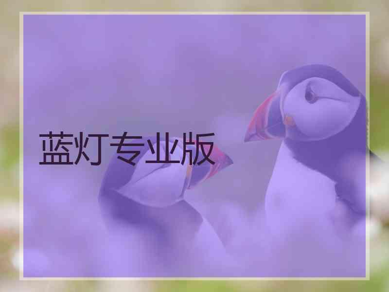 蓝灯专业版