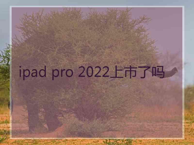 ipad pro 2022上市了吗