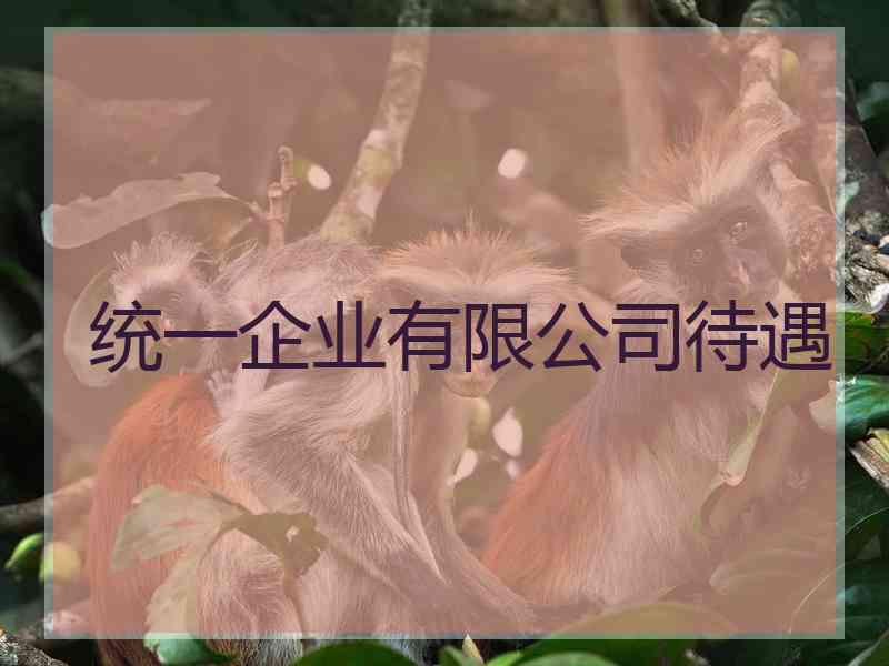 统一企业有限公司待遇