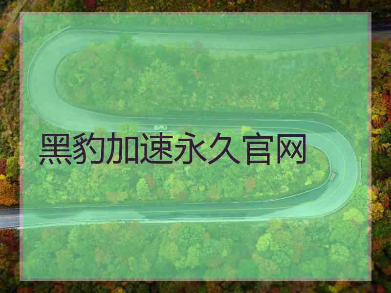黑豹加速永久官网