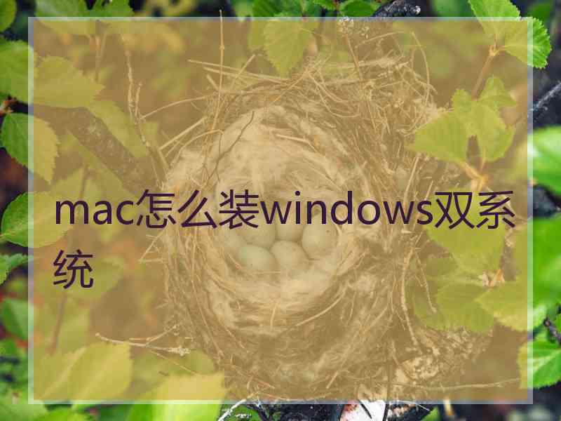 mac怎么装windows双系统