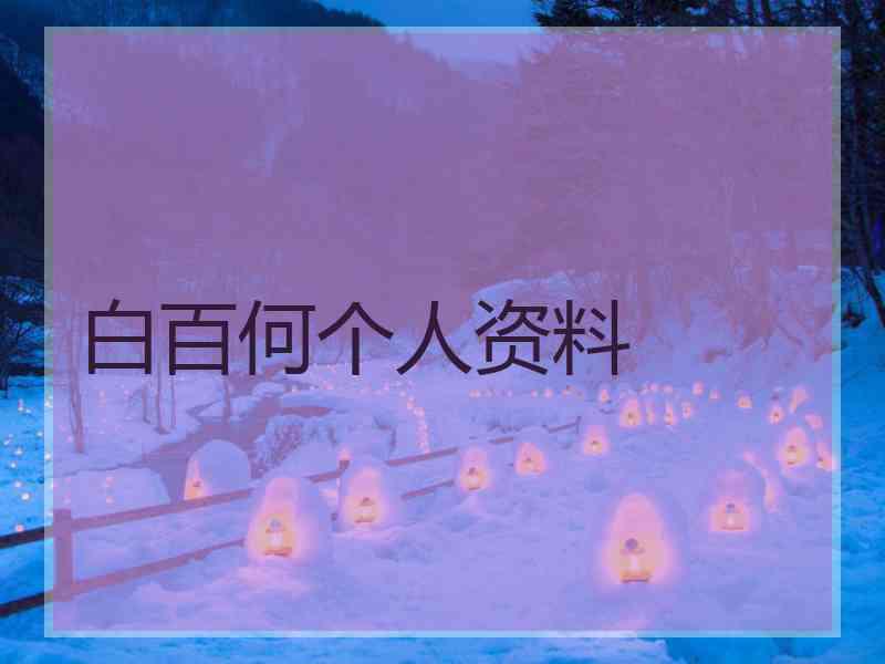 白百何个人资料