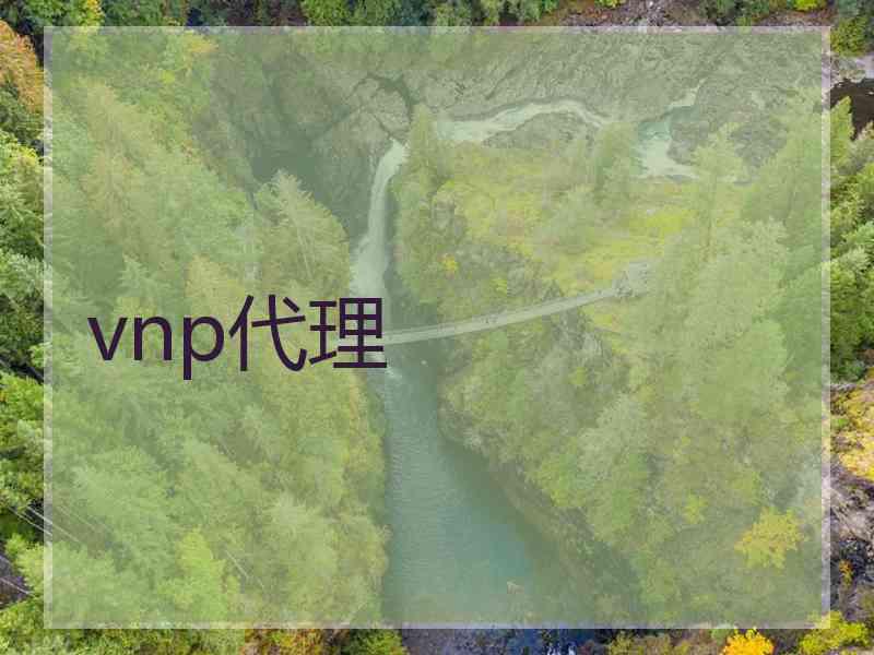 vnp代理