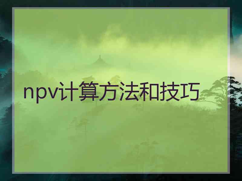 npv计算方法和技巧