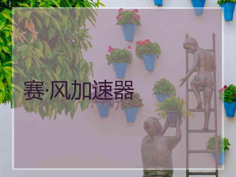 赛·风加速器