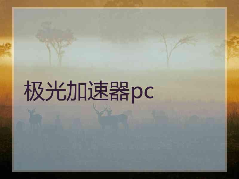 极光加速器pc