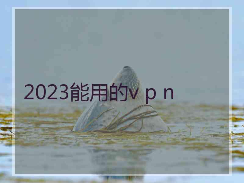 2023能用的v p n