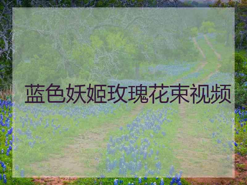 蓝色妖姬玫瑰花束视频