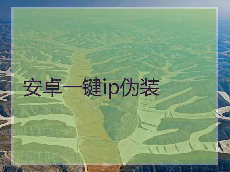 安卓一键ip伪装