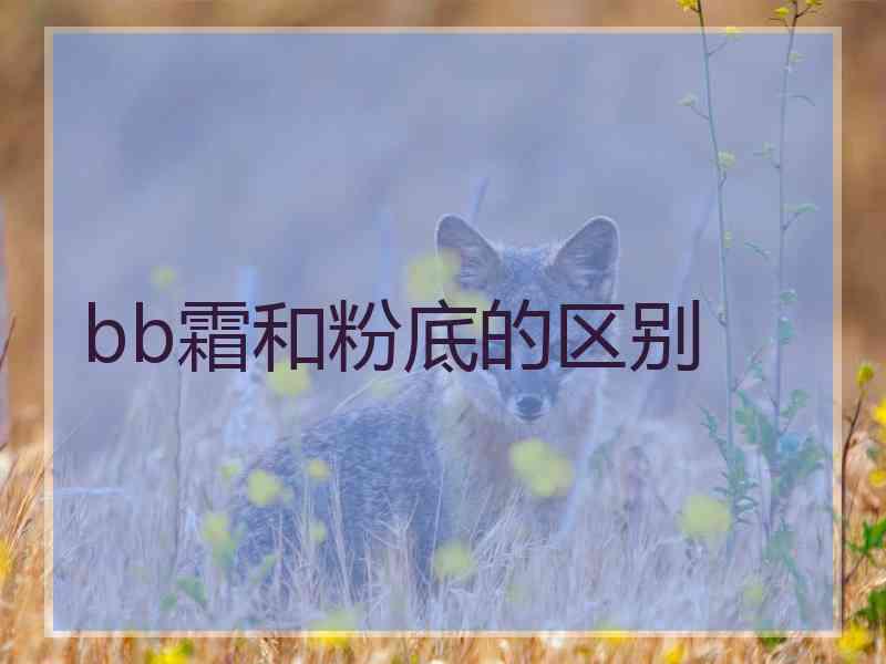 bb霜和粉底的区别