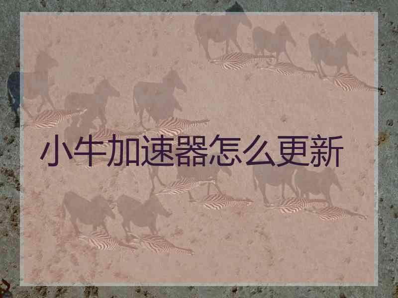 小牛加速器怎么更新