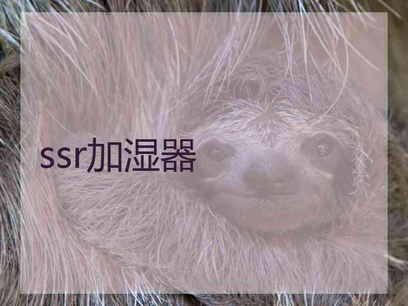 ssr加湿器