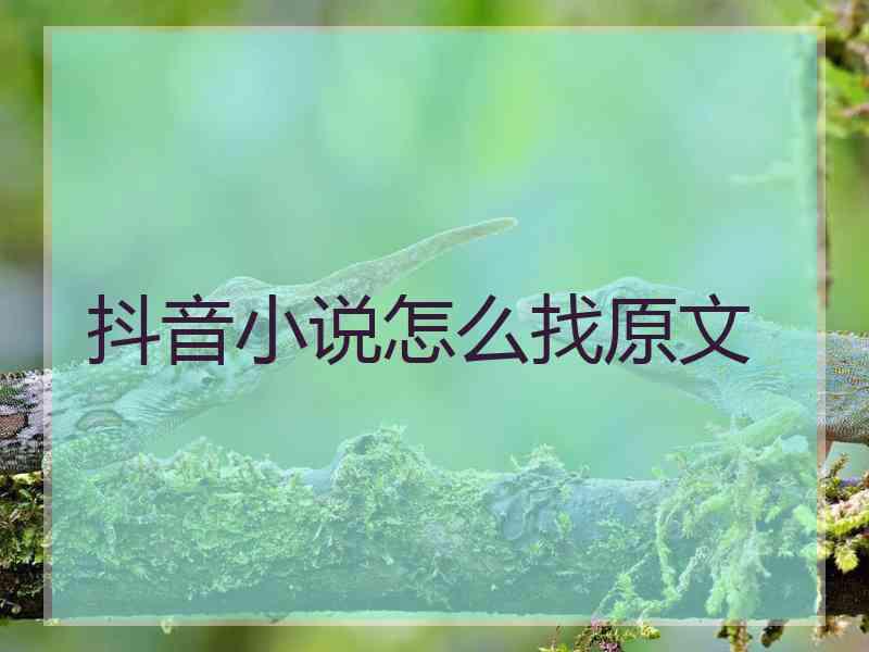 抖音小说怎么找原文