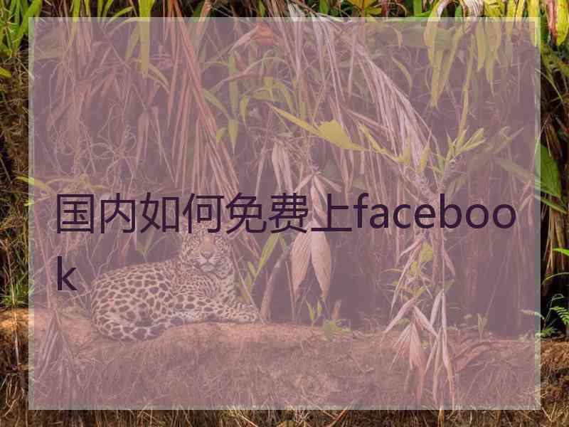 国内如何免费上facebook