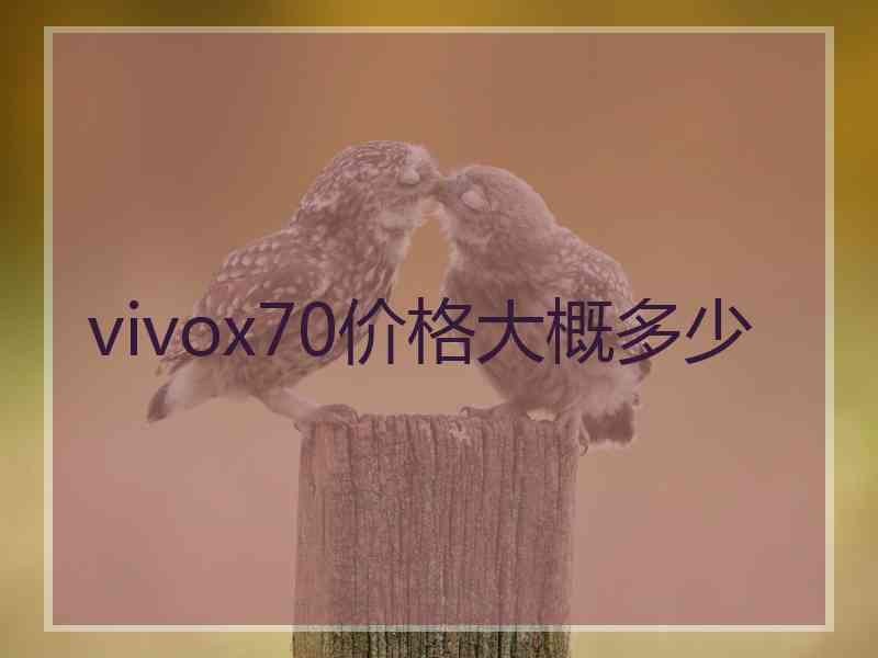 vivox70价格大概多少