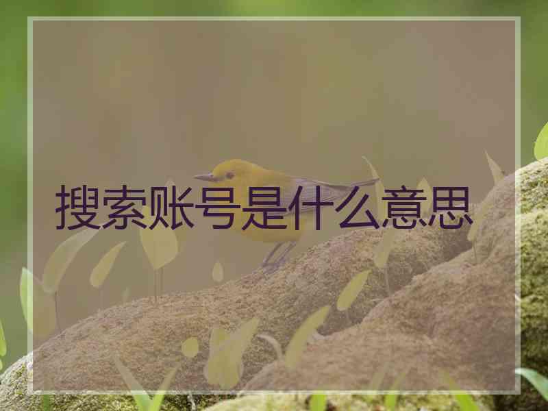 搜索账号是什么意思