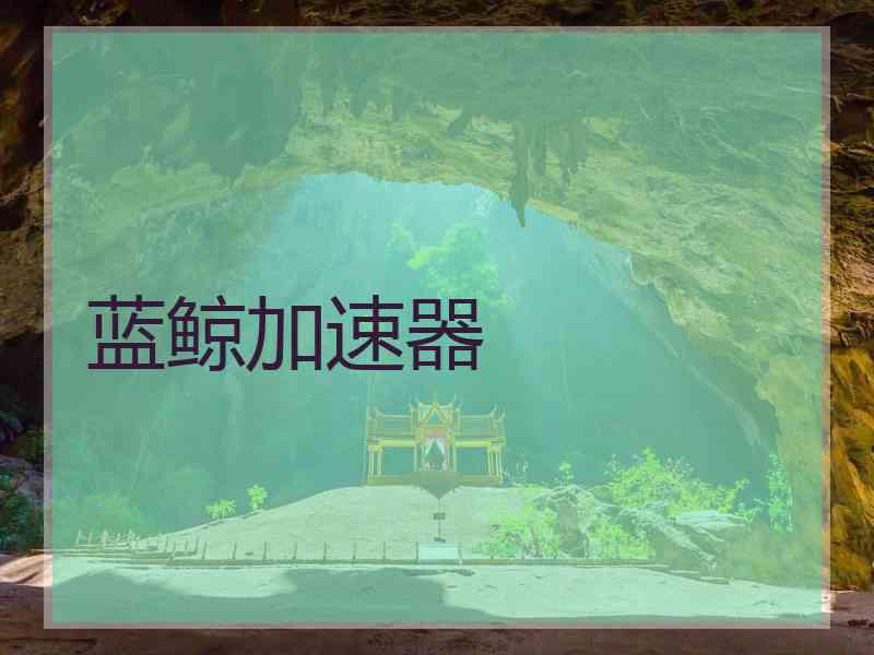 蓝鲸加速器