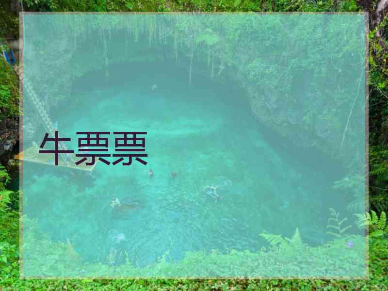 牛票票