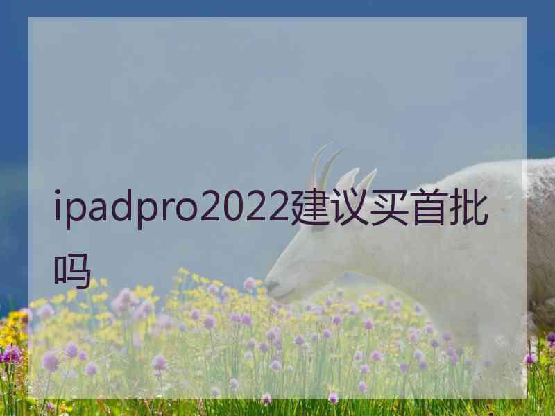 ipadpro2022建议买首批吗