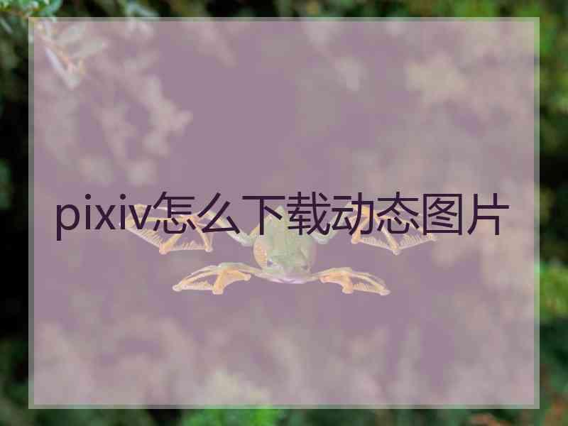 pixiv怎么下载动态图片