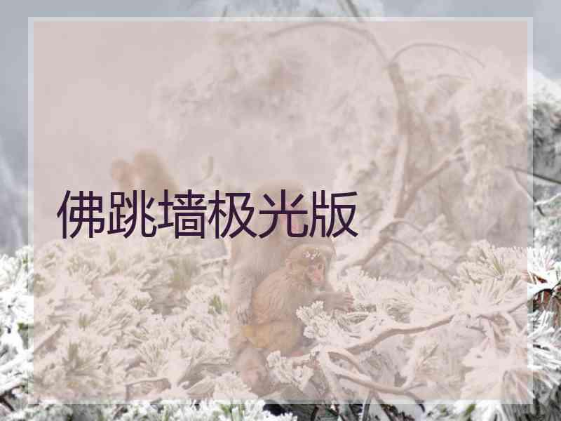 佛跳墙极光版