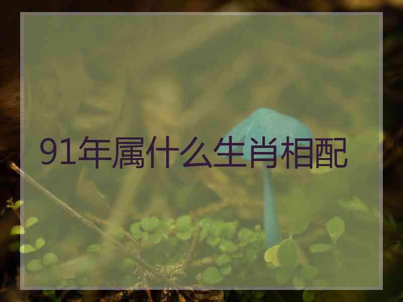 91年属什么生肖相配