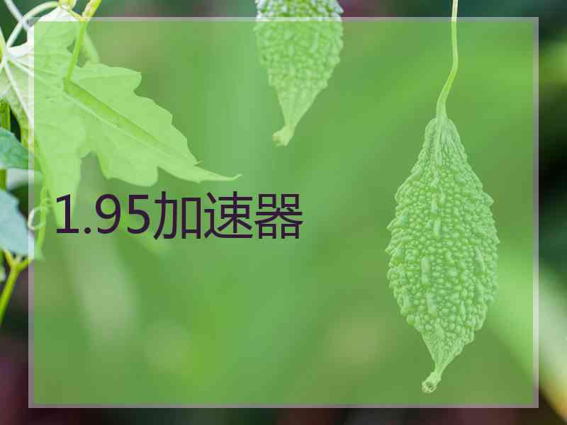 1.95加速器