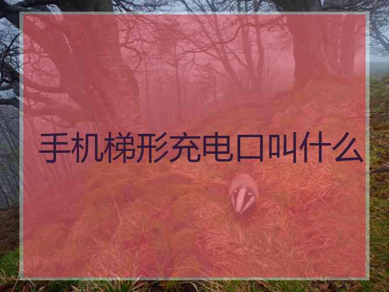 手机梯形充电口叫什么