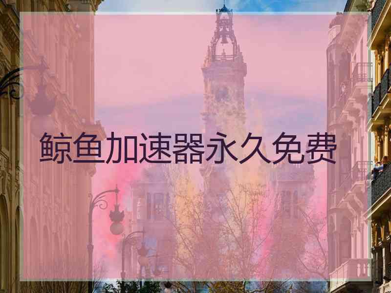 鲸鱼加速器永久免费