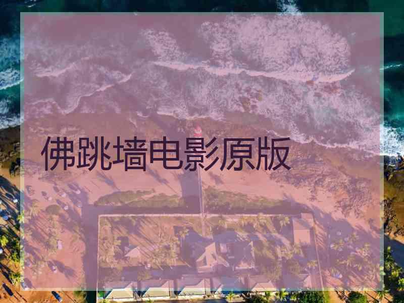 佛跳墙电影原版