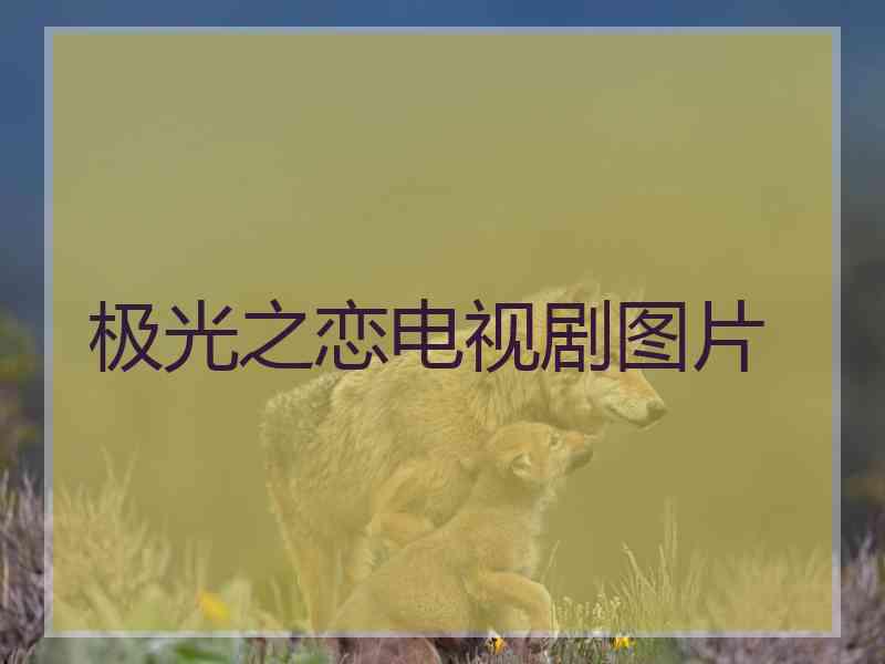 极光之恋电视剧图片