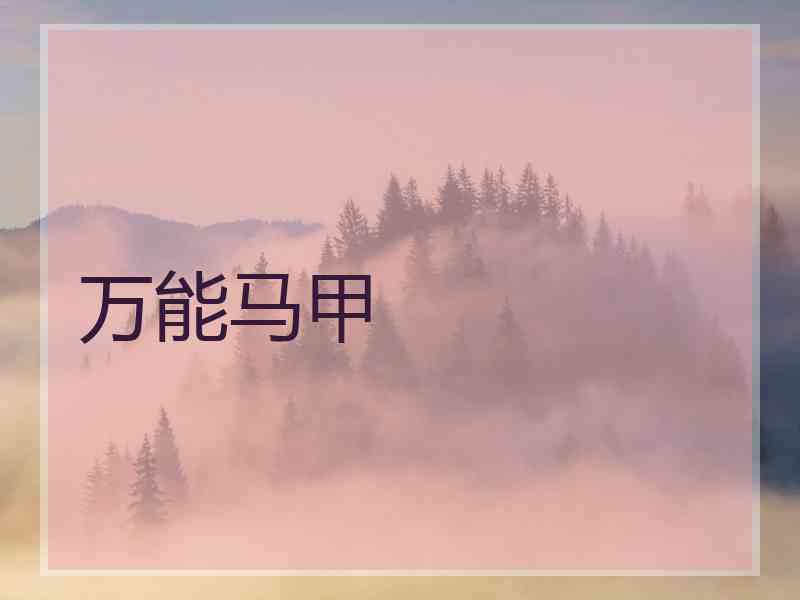 万能马甲