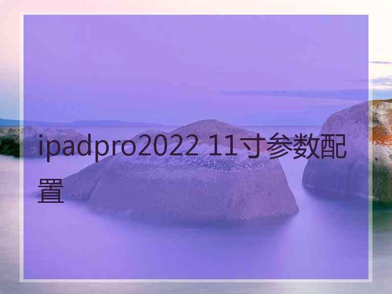 ipadpro2022 11寸参数配置