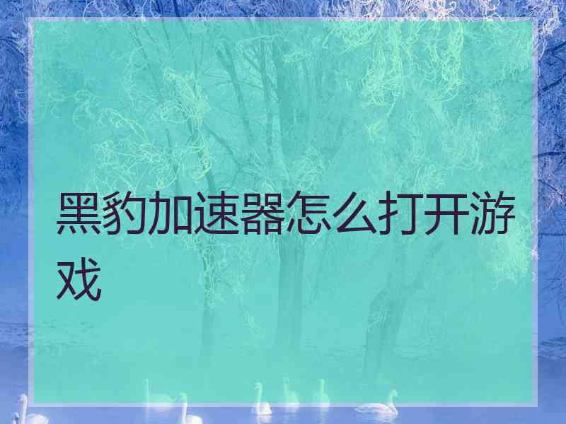 黑豹加速器怎么打开游戏