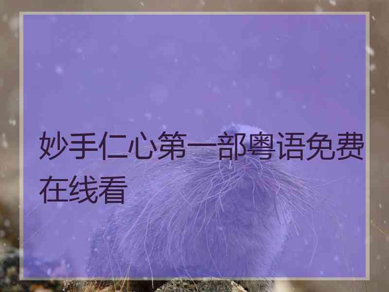 妙手仁心第一部粤语免费在线看