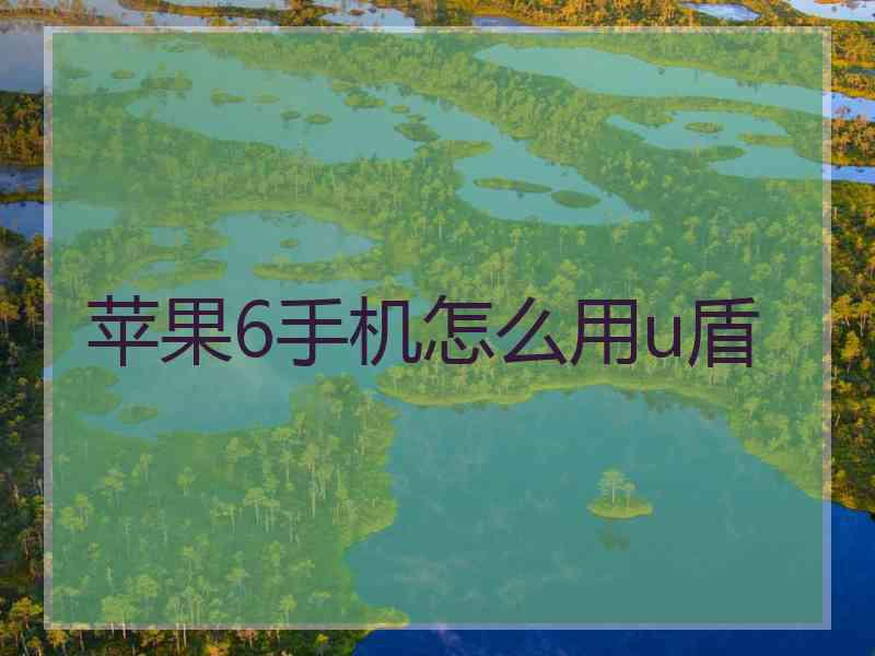 苹果6手机怎么用u盾